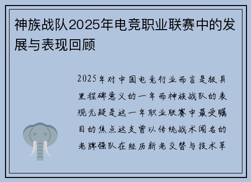 神族战队2025年电竞职业联赛中的发展与表现回顾
